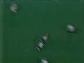 videos de football - nfl greatest hits 2.mpg
