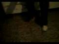 videos de Video-0014.3gp