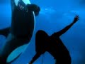 Watch 'Orca, el delfín más inteligente del mar - sabe imitar'