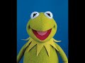 the beginning part sounded like kermit the frog. this song is from their album crazychildren