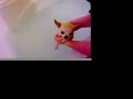 The Keeley Show- Bath Time The Keeley Show- Bath Time