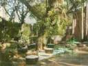 GRAMADOS E JARDINS. PROJETOS COMERCIAIS E RESIDENCIAIS CRIADOS PELO DOUTOR DAS PLANTAS.  ATENDE RIBEIRÃO PRETO-SP E TODO TERRITÓRIO NACIONAL - CONTATO 16-3621-0748.