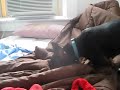 Miniature Pinscher