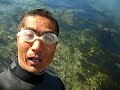 surf movie 個人的に