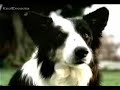 bud-commercials.html