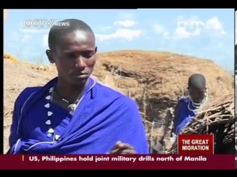 Maasai - The Maasai are one of the most famous tribes in east Africa. The community has preserved its unique ancient culture, despite the wave of modernization that h...