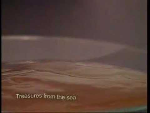 Kelp
