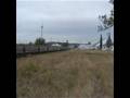 kingaroy branch