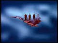 Yellow Magic Orchestra (YMO) Firecracker