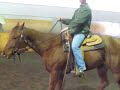 bubba at trainers 002.avi bubba at trainers 002.avi