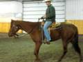 bubba at trainers 002.avi