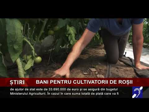 Bani pentru cultivatorii de roșii