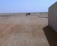 Biteri Saharan 1