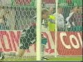 01.06.1996, Rapid-Sturm, Ivanov-Weitschuss