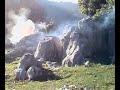 cipolla sparata in montagna prossedi cipolla sparata in montagna prossedi
