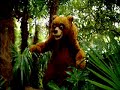 Disneyland Paris Disneyland Paris