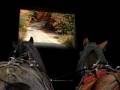Carriage horses drive under highway bridge