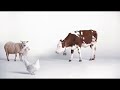 Coop-Reklam-Swedish-