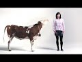 Coop-Reklam-Swedish-