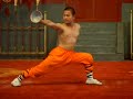 SHAO LIN KUNGFU 5