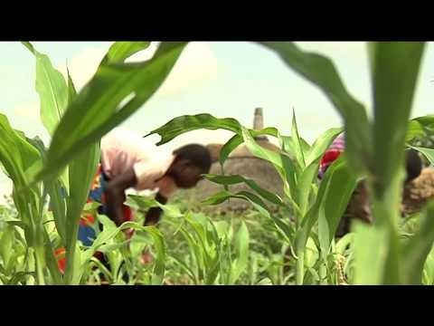 plaisanterie - Documentaire :