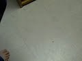 Soda Can Popping... Thing. Yeah.