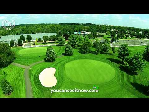 how to dye zoysia grass