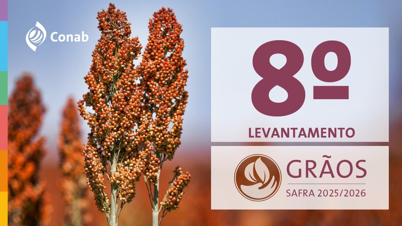 8º Levantamento da Safra de Grãos 2025/2026