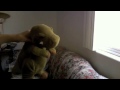 dinosuar dancing