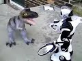 Robosapien vs. T-Rex dinosaur