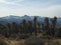 Land Property For Sale