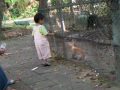 【2Y3M21D】餵兔子