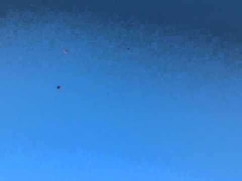 Kite fighting