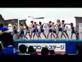 トリコロールマーメイズ&横浜ベイスターズチアチームdiana
