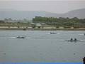 videos de Men lightweight double finish Marathon 2008