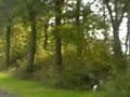 Jan Friso in gevecht met brommer Pruis