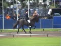 Yggur van Sm�h�sum, WC 2007 T1