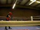 Sparrin\ Sparrin\