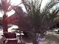 HOTEL XALUCA EN ERFOUD!!!