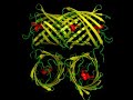 PyMOL ubuntuusers.de example video (DsRed)