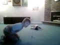 Marty tries wrestling