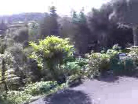 Vídeo de Sublime Apartments and Homestay