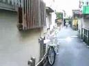 tube 2008.05.06 03 - http://jmseul.cocolog-nifty.com/jiji/2008/05/post_922f.html - yanaka ginza backalley taitoku yanaka and arakawaku nishi-nippori
