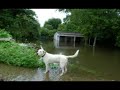 LA TRAGEDIA LLEGÓ A CUNDUACÁN CON LAS INUNDACIONES.. DIOS BENDIGA A TABASCO