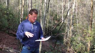 Lake Keowee Real Estate Video Update March 2020 Mike Matt Roach Top Guns Realty