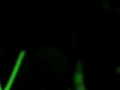 Radiation / Traks Boys live at Liquid Loft 2007.09.15