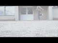 Popson & Dario- We love Spins Popson & Dario- We love Spins