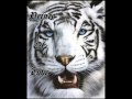 BLACK AND WHITE OF HEART REPRESET ALL DAYY