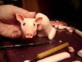 Sculpt a Pig in Polymer Clay Sculpt a Pig in Polymer Clay