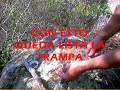 Como hacer una trampa de lazo o snare simple.